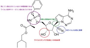 レムデシビルの作用機序