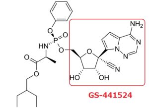 レムデシビル活性体