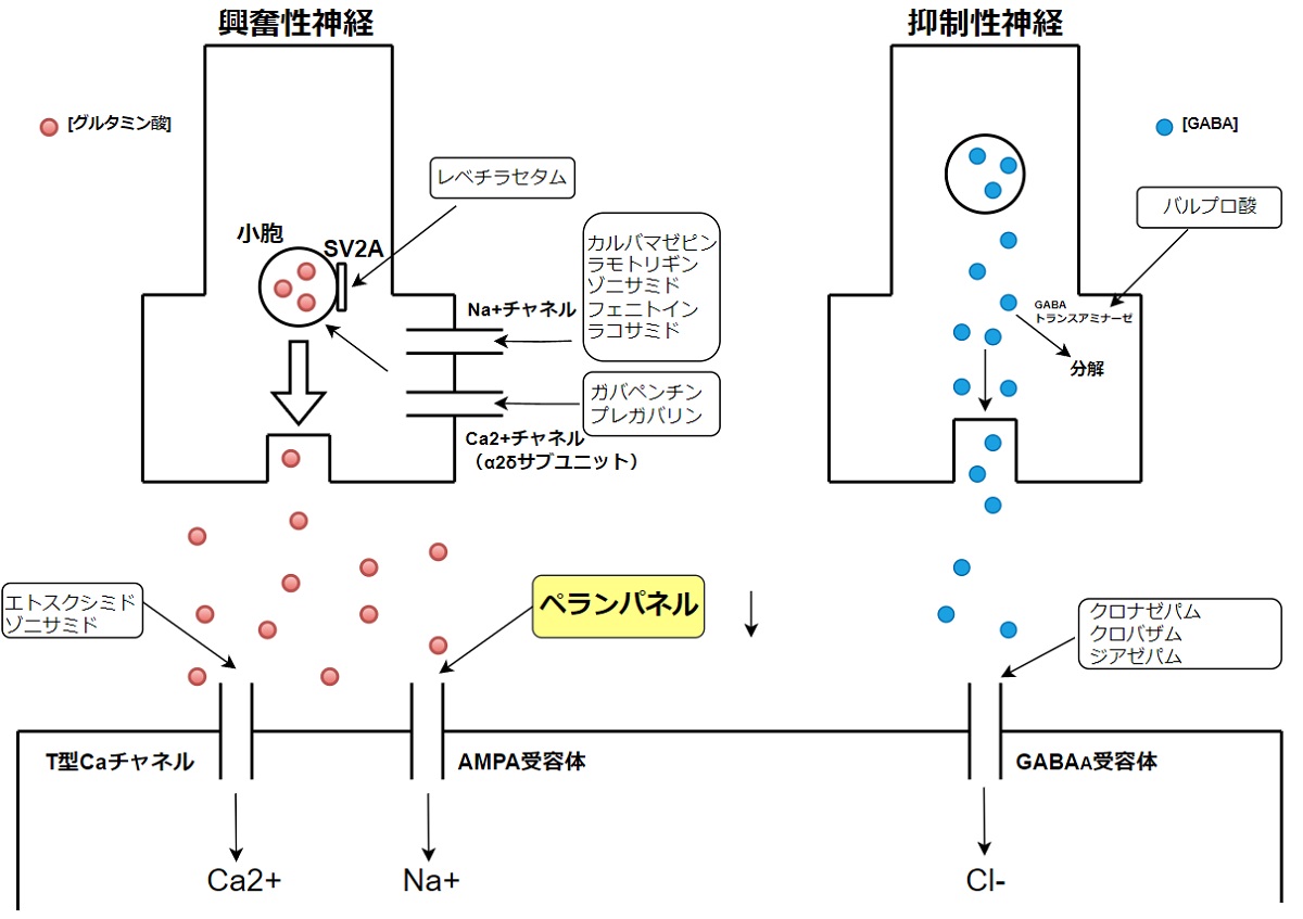 フィコンパの過剰摂取